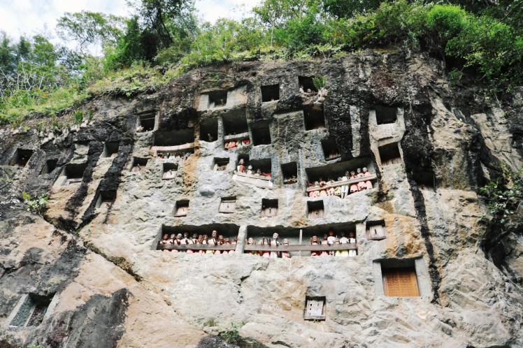 2016-08-06 07.06.24 1.jpg